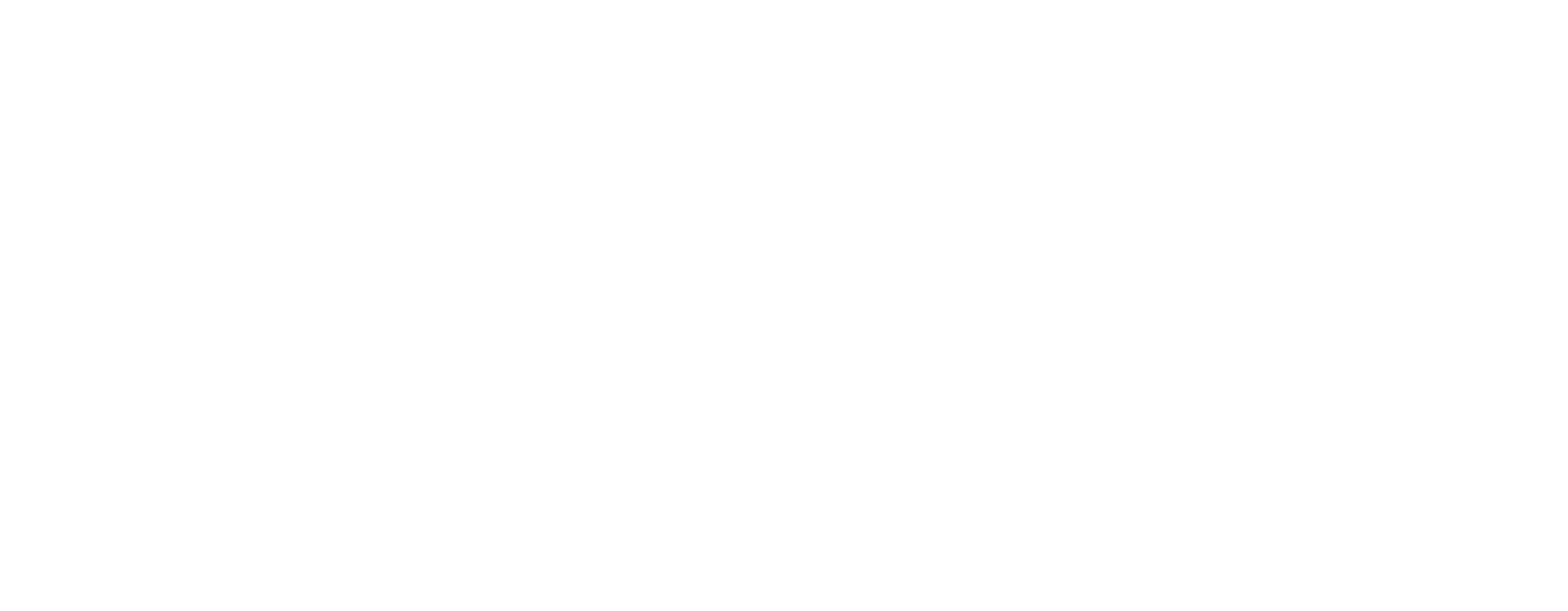 Logo_Bonnettes_Vecto_White